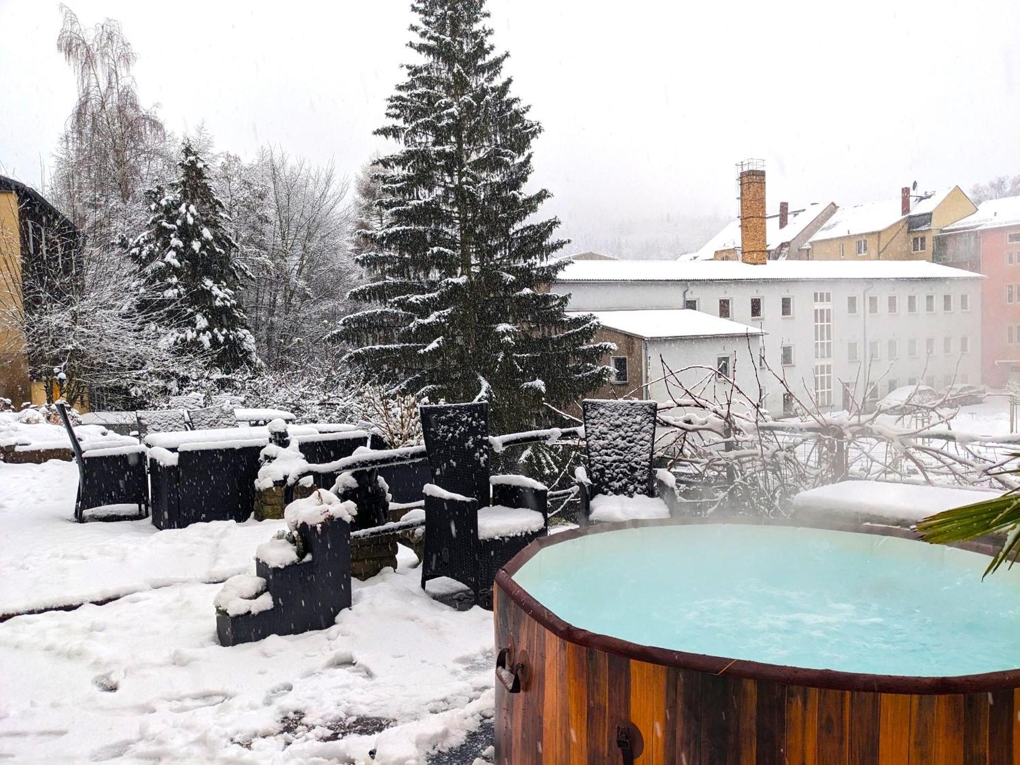 F2 - Urlaubsmagie Sauna, Whirlpool, Pool & Garten Sebnitz Εξωτερικό φωτογραφία